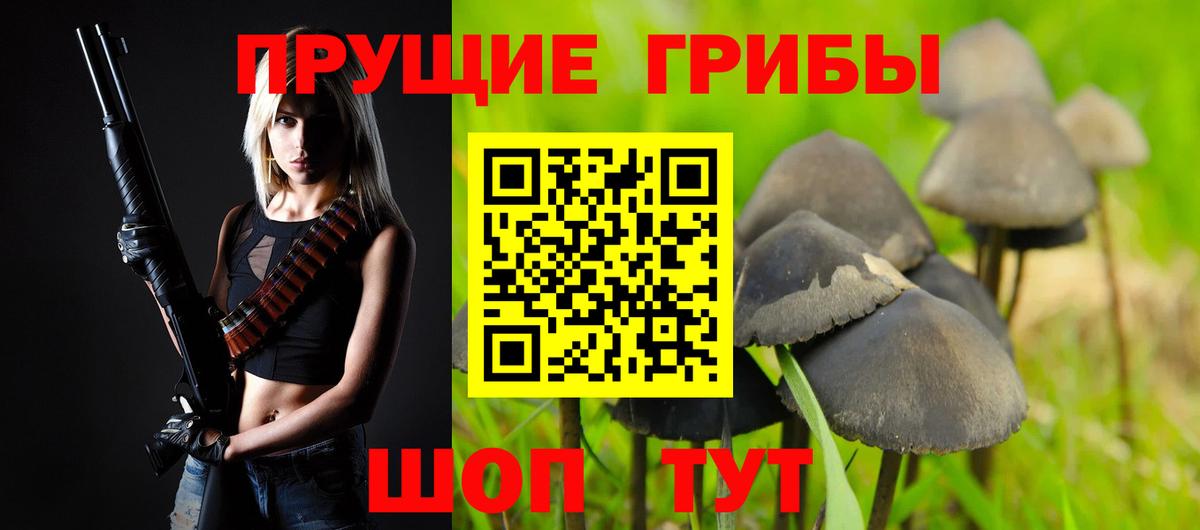 где купить наркотик  Псилоцибиновые грибы MAGIC MUSHROOMS  Вход с VPN  Ростов-на-Дону 